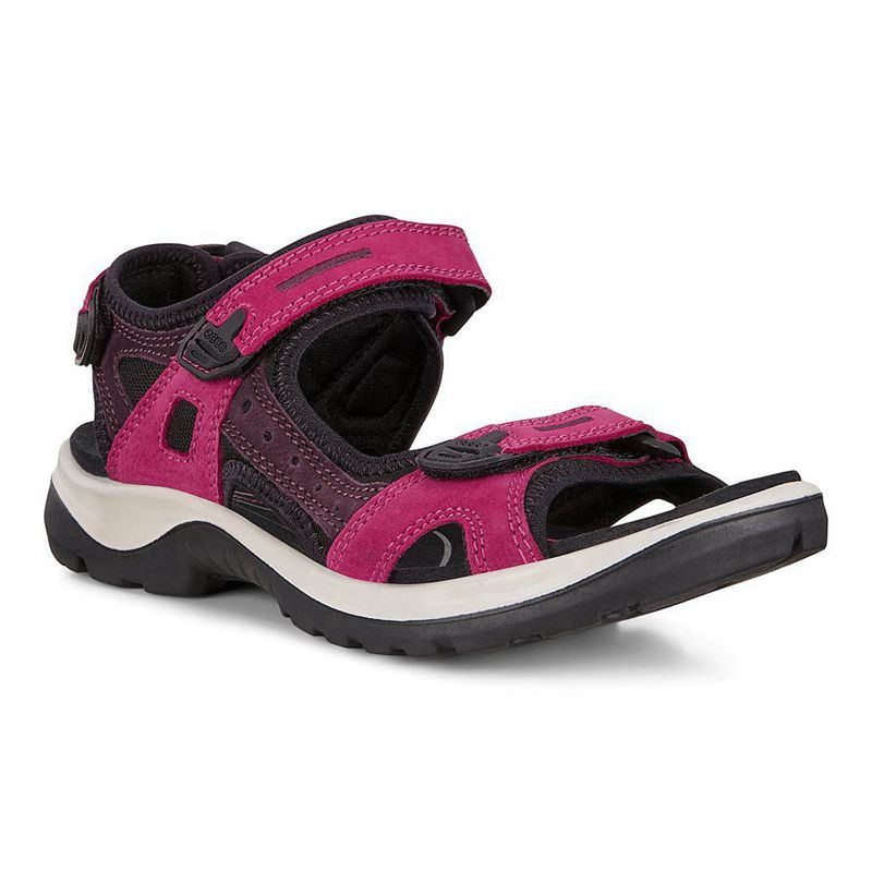 Women Ecco Offroad - Sandals Pink - India HUCQXG016